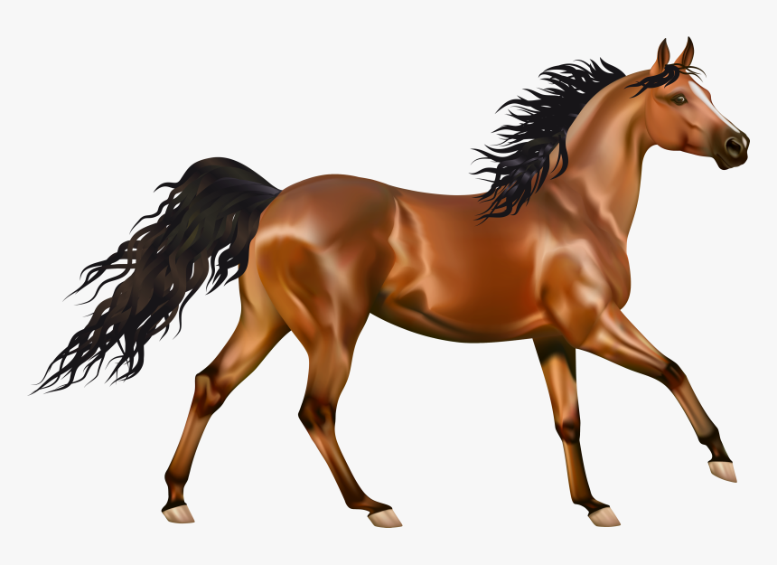 Horse Clipart, HD Png Download, Free Download