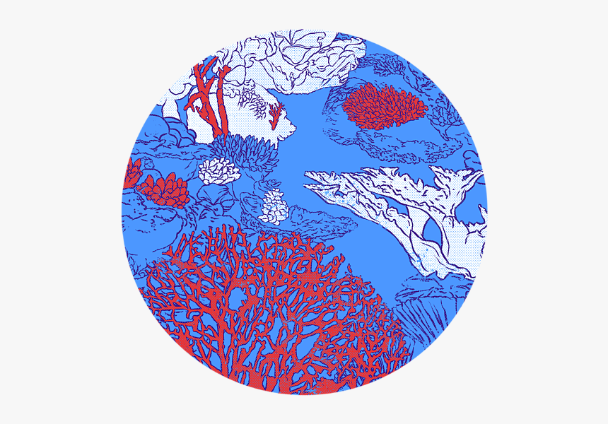 Save The Coral Reef Sticker, HD Png Download - kindpng