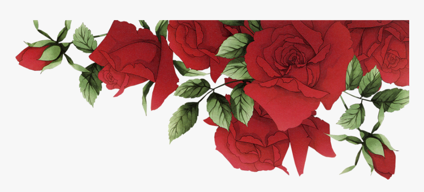 Garden Roses Beach Rose Red Flower - Red Roses Border Png, Transparent Png, Free Download