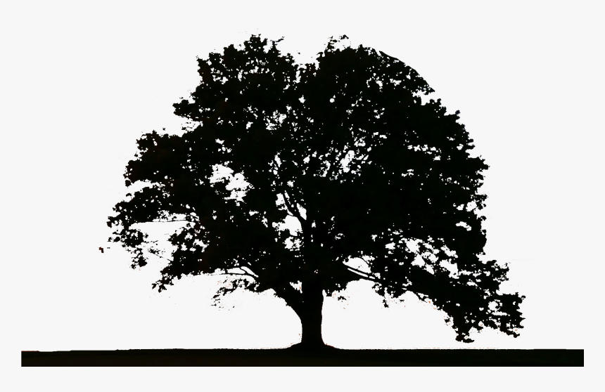 Tree Logo - Tree Logo Png, Transparent Png, Free Download