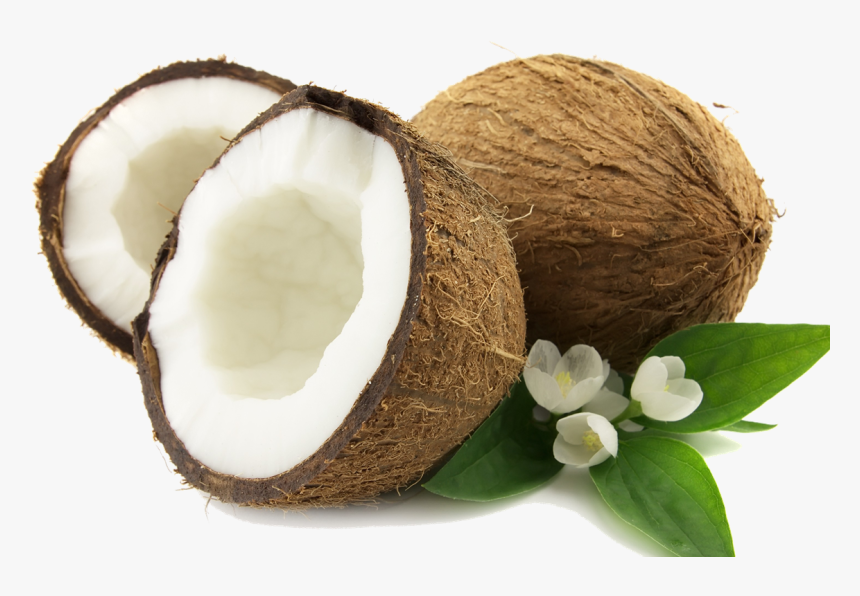 Download Coconut Png - Coconut Png, Transparent Png, Free Download