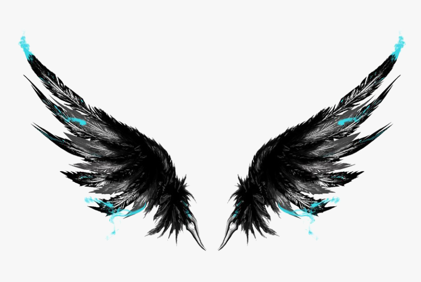 Black Wings Png Picture - Png Full Hd Download, Transparent Png, Free Download