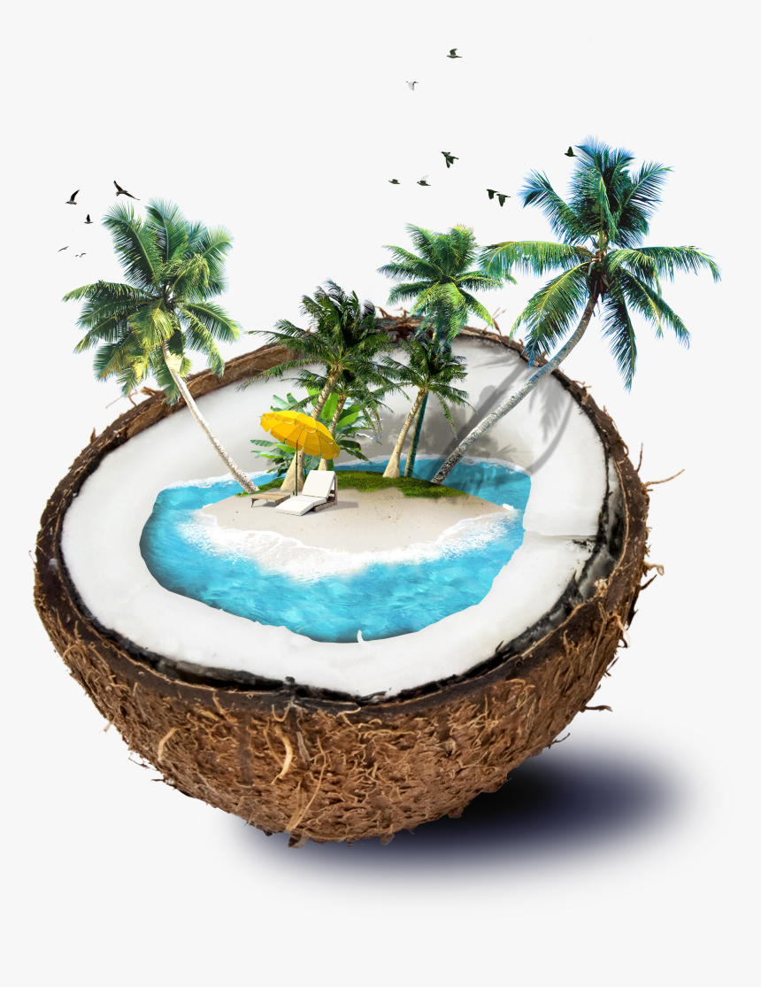 Good Morning With Coconut, HD Png Download, Free Download