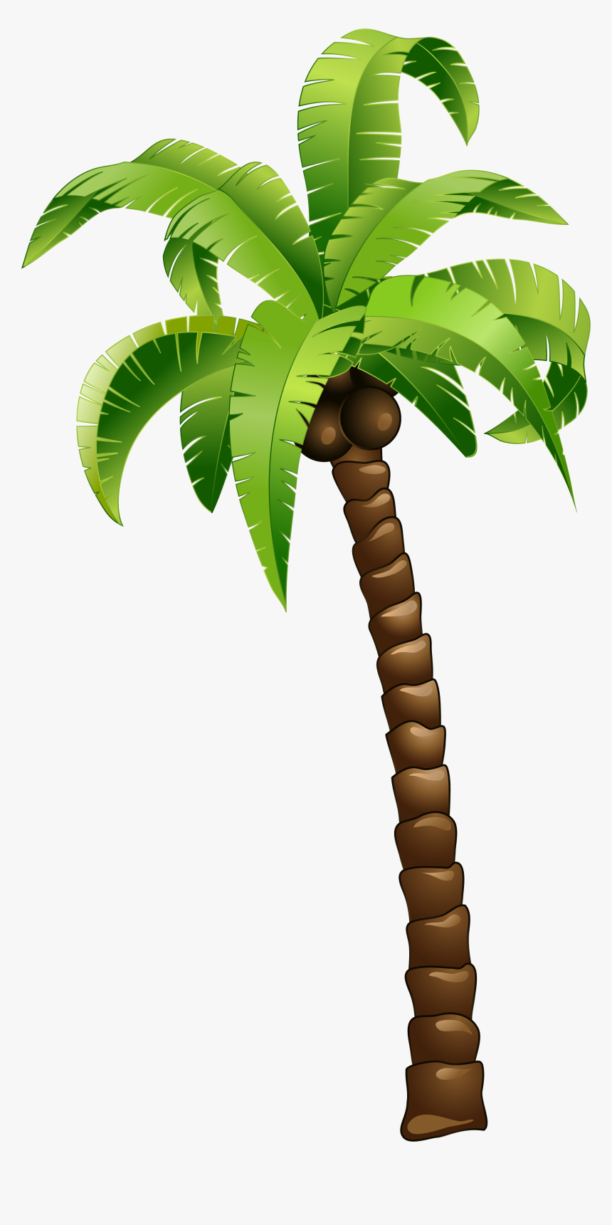 Cartoon Green Coconut Tree - Beach Background Summer Design, HD Png ...