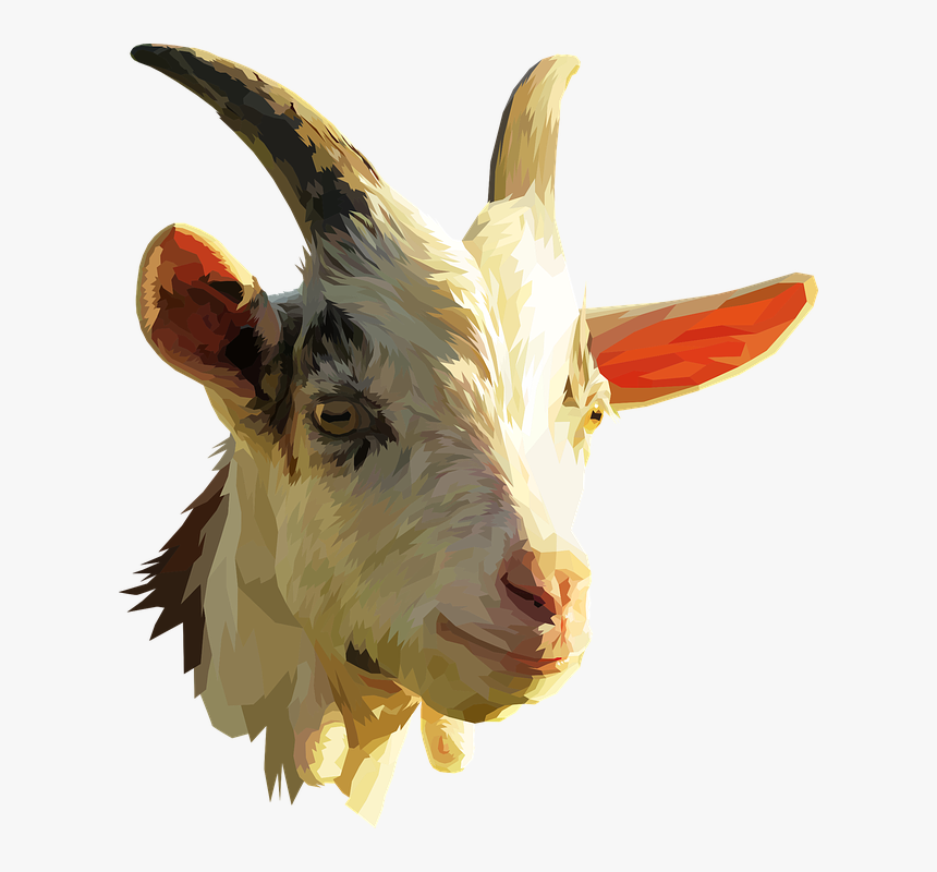 Download Goat Png Transparent Images Transparent Backgrounds - Goat Head No Background, Png Download, Free Download