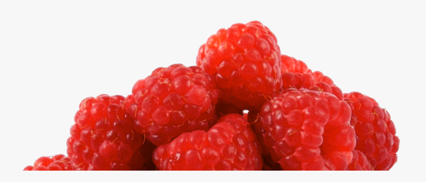 Photo Of Raspberries - Morra Fruta, HD Png Download, Free Download