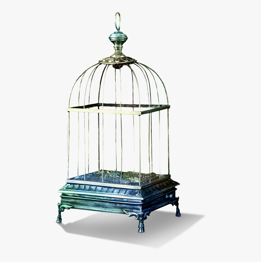 Tubes Bird Cage Png , Png Download - Cage À Oiseaux Png, Transparent Png, Free Download