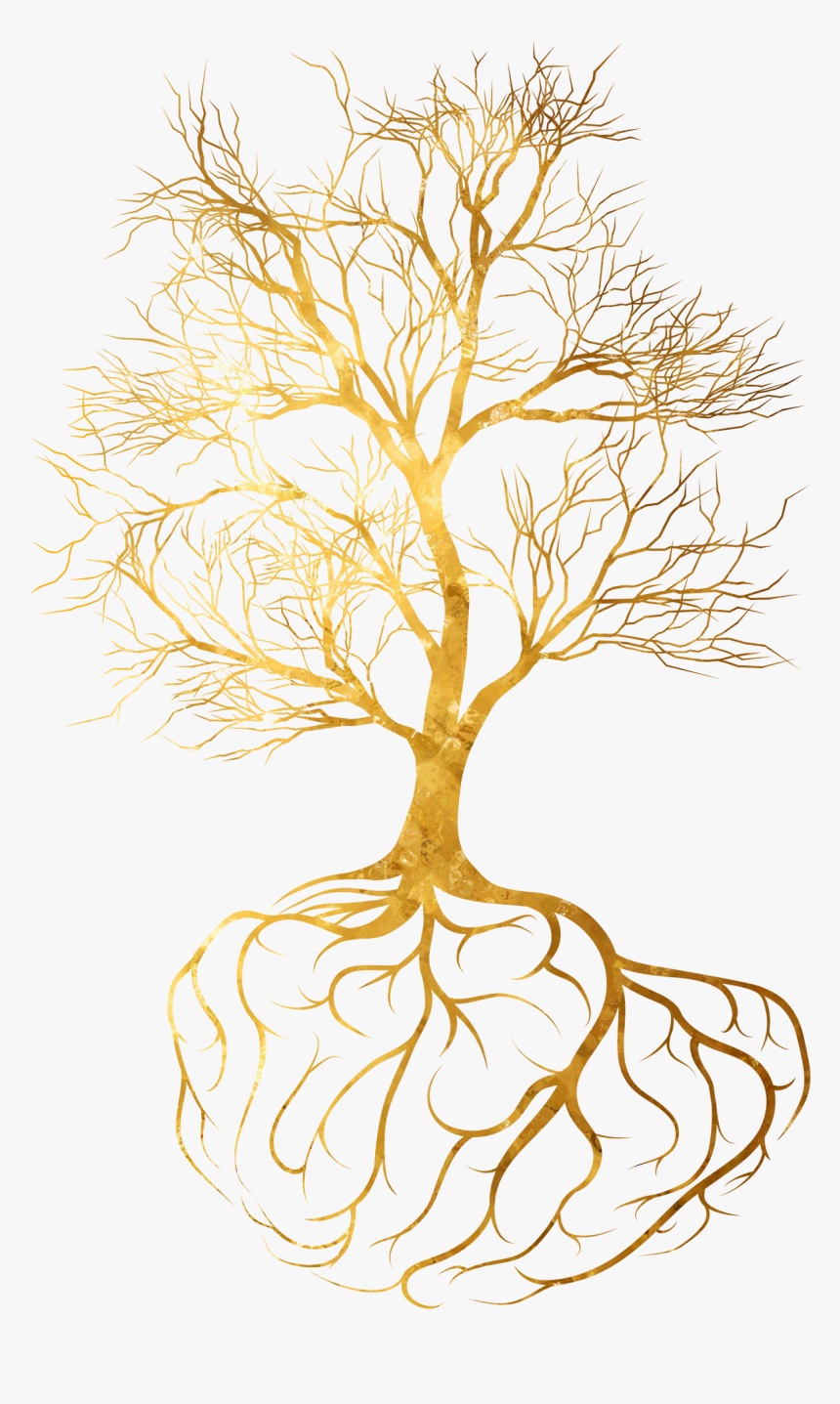 Toby Hana - Gold Tree Root Png, Transparent Png, Free Download