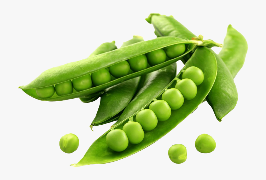 Pea Png, Transparent Png, Free Download