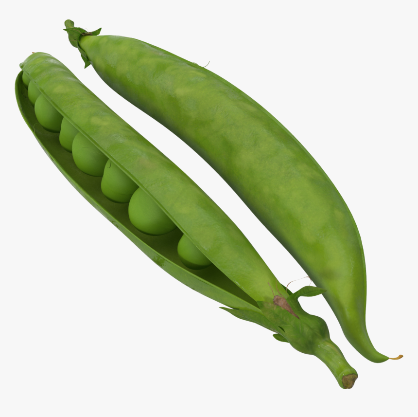 Pea Png Image - Green Bean No Background, Transparent Png, Free Download