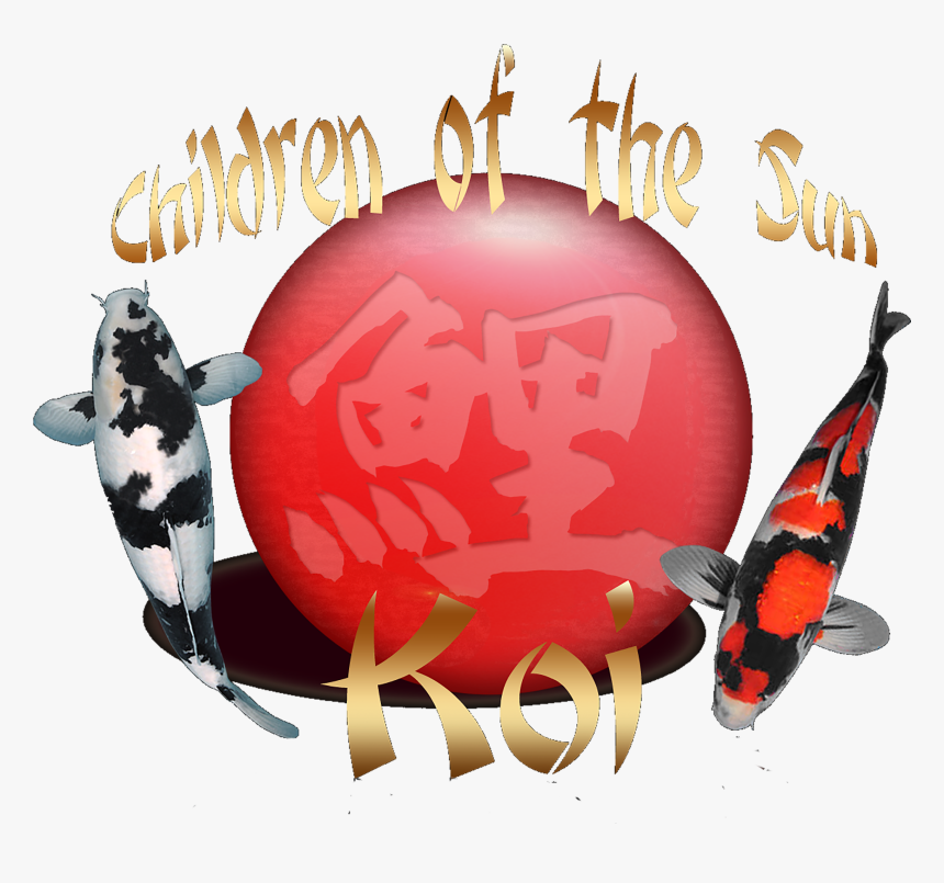 Children Of The Sun Koi - Illustration, HD Png Download, Free Download