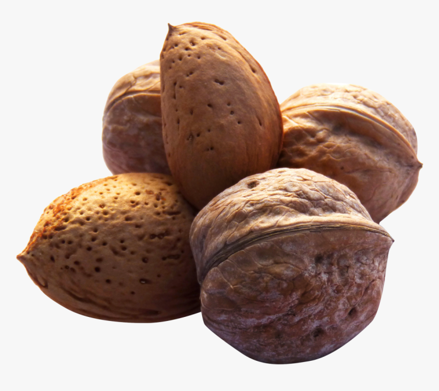 Walnut Png Image - Nuts Transparents, Png Download, Free Download