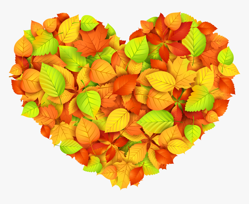 Collection Of Leaves - Autumn, HD Png Download, Free Download