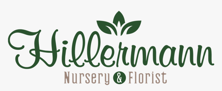 Hillermann Nursery & Florist - Calligraphy, HD Png Download, Free Download