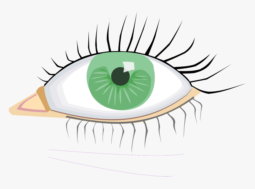 Eye Clip Art, HD Png Download, Free Download