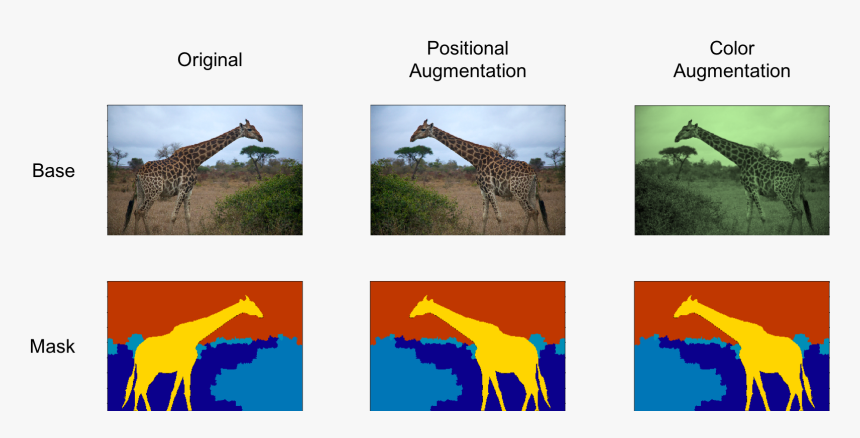 Drawing - Segmentation Example, HD Png Download, Free Download