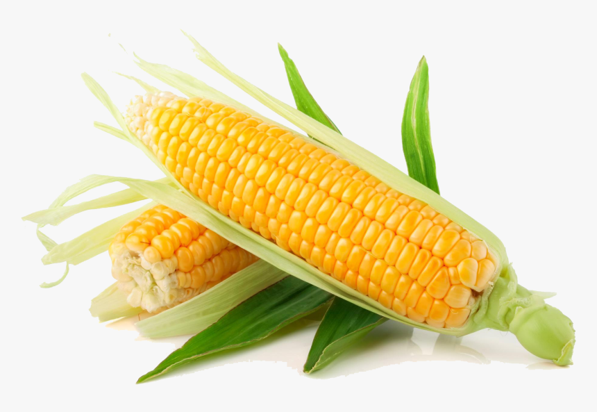 Corn - Corn Png, Transparent Png, Free Download