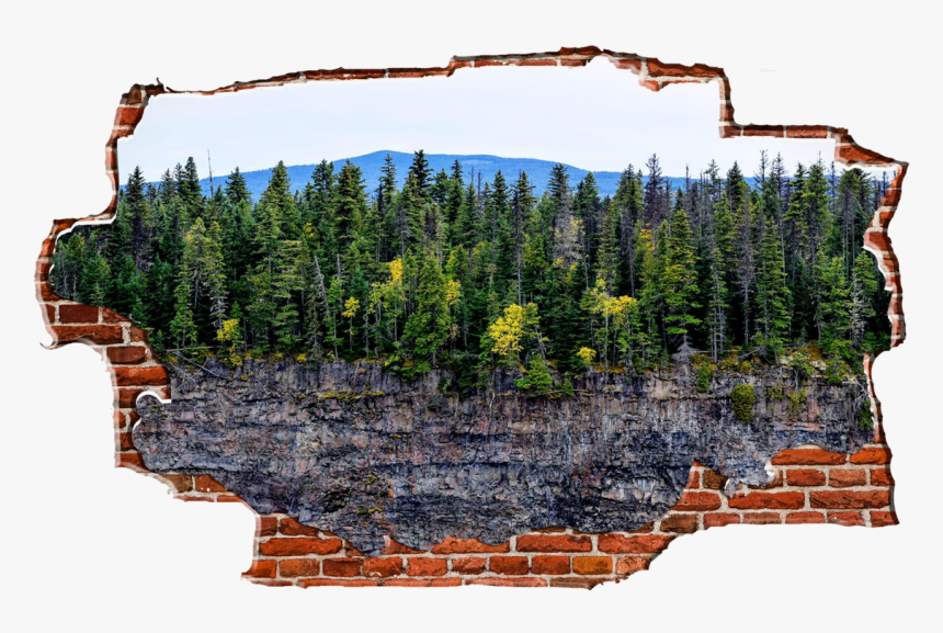 Zapwalls Decals Trees Cliffside Breaking Wall Nature"
 - Cliff And Trees, HD Png Download, Free Download