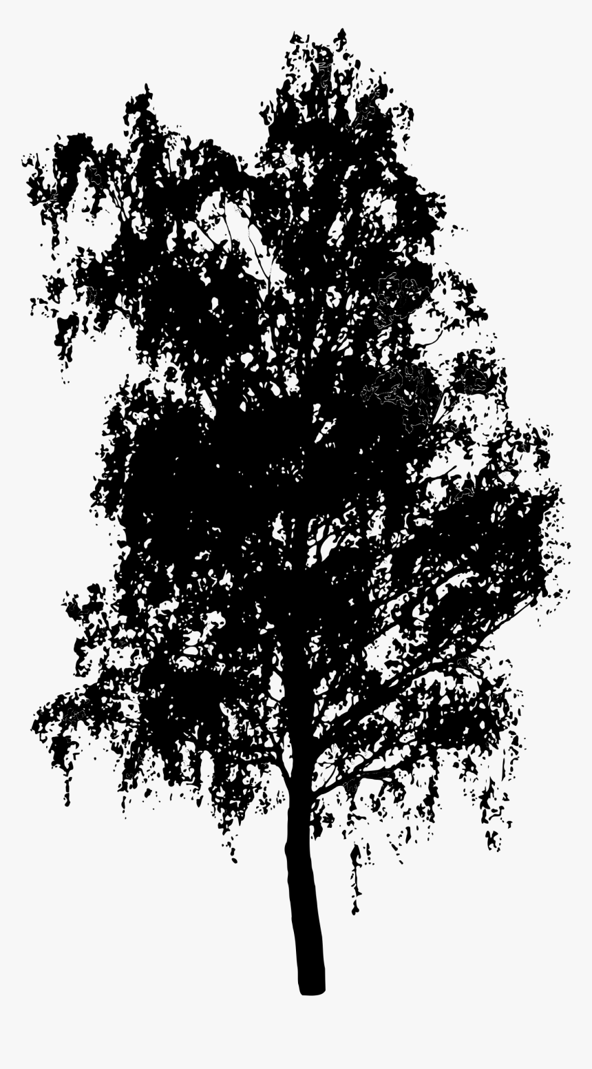 How To Draw A Birch Tree, Stencils - Tree Silhouettes Without Background, HD Png Download, Free Download