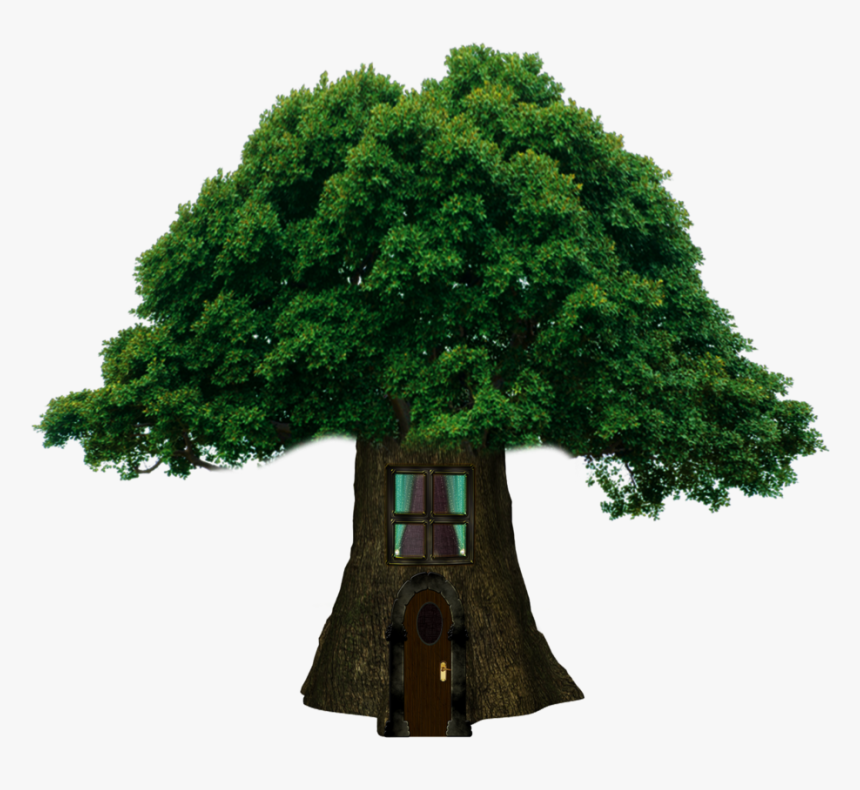 Thumb Image - One Trees, HD Png Download, Free Download