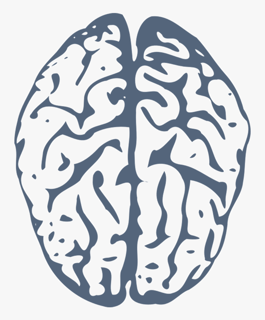 Brain Png Website - Blue Brain Clip Art, Transparent Png, Free Download