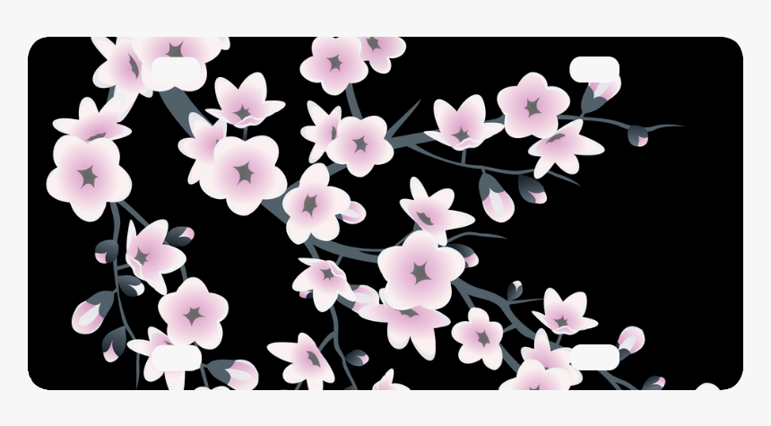 Cherry Blossoms Sakura Floral Pink Black Classic License, HD Png Download, Free Download