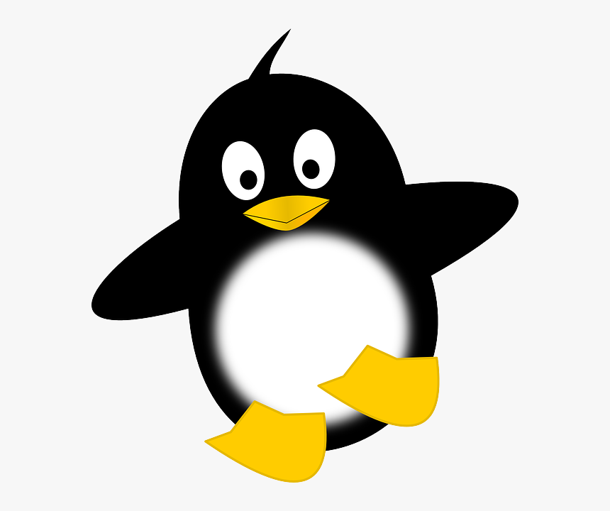 Penguin Clipart Transparent, HD Png Download - kindpng