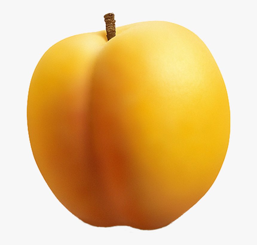 Apricot Png Image - Абрикос Рисунок Пнг, Transparent Png, Free Download