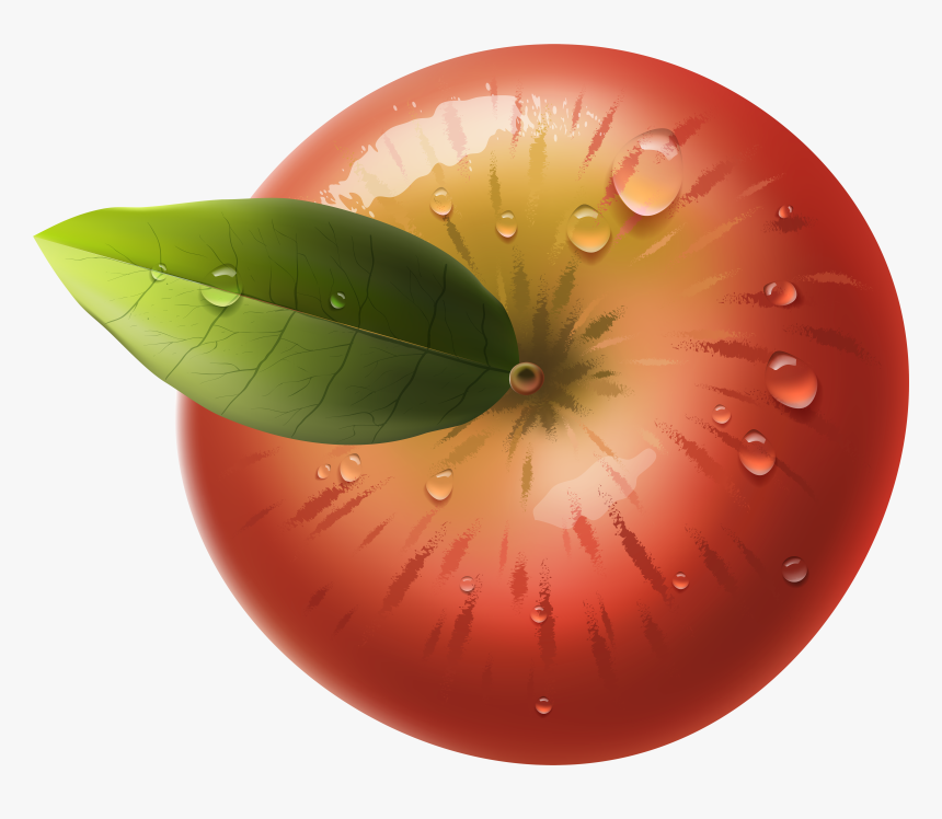 Transparent Plant Top View Png - Apple Png Top View, Png Download, Free Download