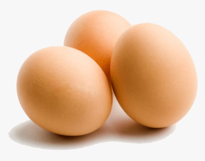 Egg png. Куриные яйца. Яйцо для детей. Яйцо дошкольники. Изображение яйца.