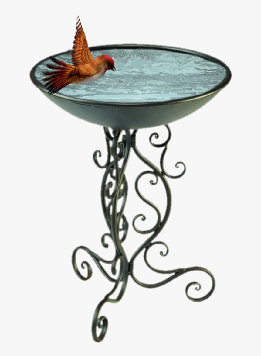 Bird Bath Png Clipart Transparent - Transparent Bird Bath Png, Png Download, Free Download