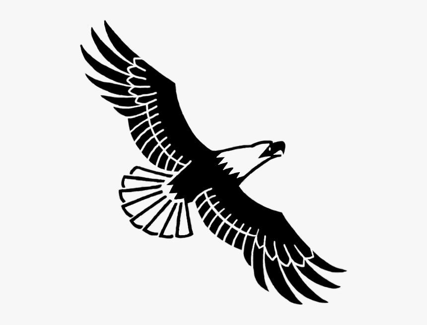 soaring eagle clip art