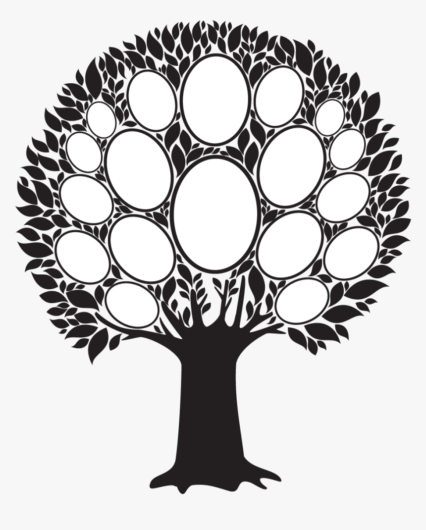 Family Tree Photo Frame Png , Png Download - Empty Family Tree Clip Art ...