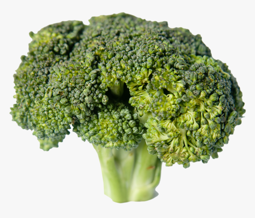 Broccoli Png - Брокколи Капуста, Transparent Png, Free Download