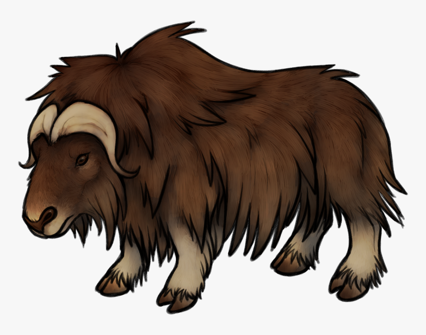 Musk Ox Drawing At Getdrawings Musk Ox Transparent Background, HD Png