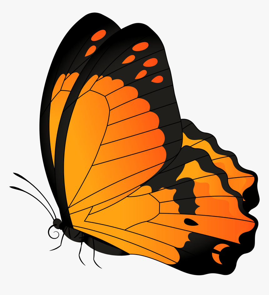 Butterfly Clip Art, HD Png Download, Free Download