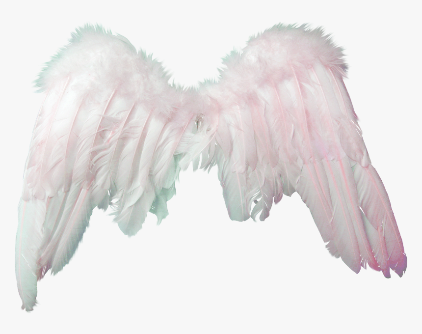 Clipart Angel Png - Alas De Angel Png, Transparent Png, Free Download