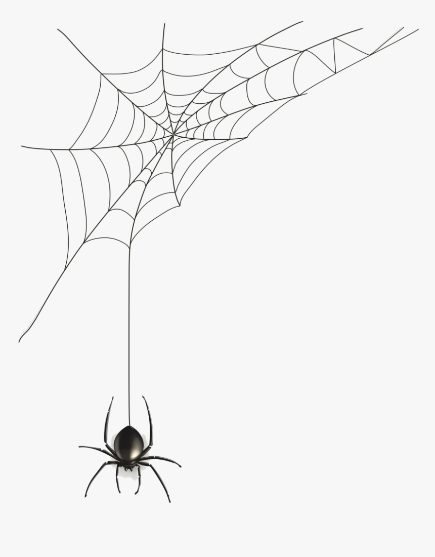 halloween spider drawing