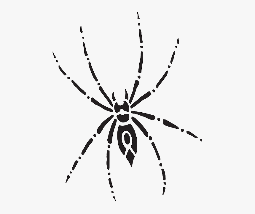 Arachnid Spider, Body, Eight, Art, Legs, Arachnid - Spider Top View, HD Png Download, Free Download