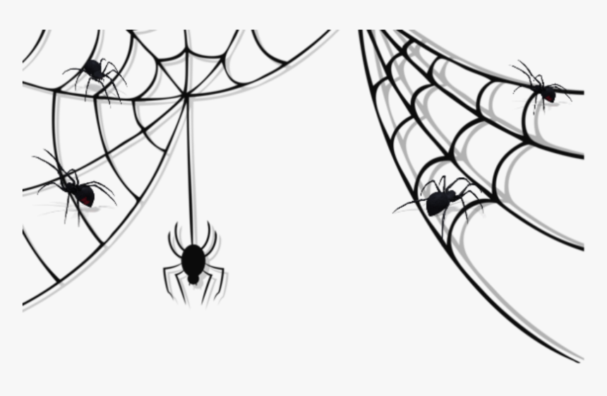 spider #halloween #spiders #spiderweb #spiderwebs - Transparent