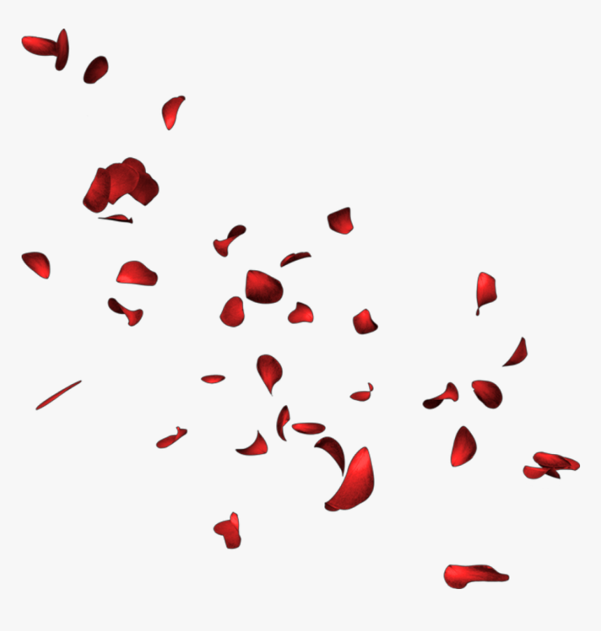 #petals #petalos #pétalos #pétalo #petalo #petal #rose - Petalos De Rosa Png, Transparent Png, Free Download