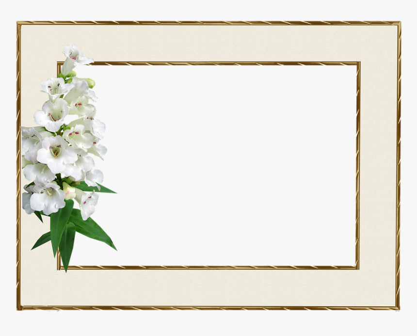 Picture Frame Empty Margin Blank Framework - Blank Photo Frames Png, Transparent Png, Free Download