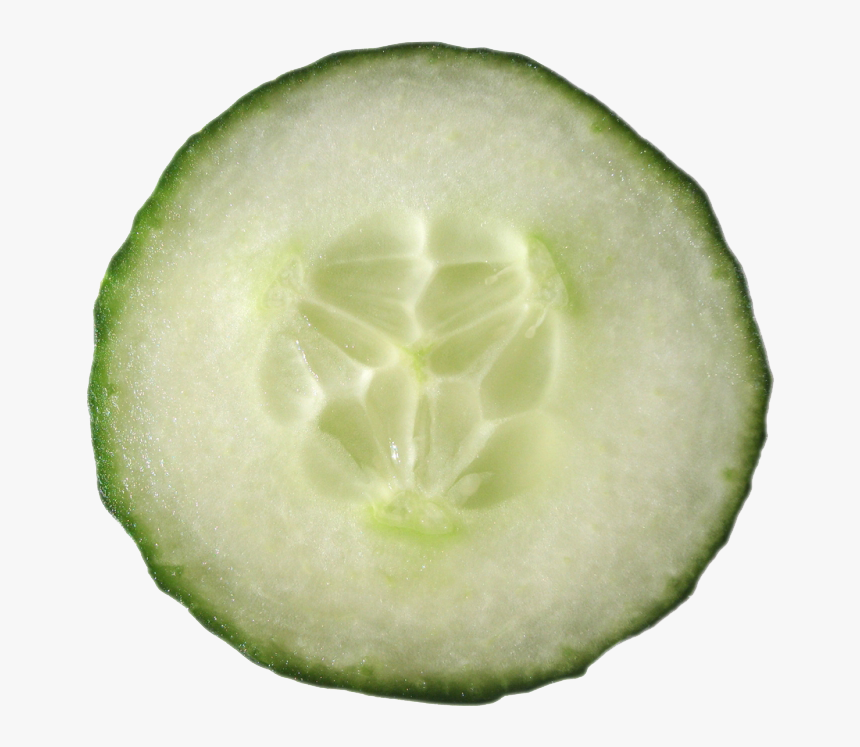 Cucumbers Png Image - Cross Section Of A Cucumber, Transparent Png, Free Download