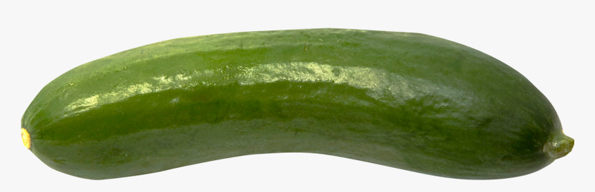 Cucumber Png, Transparent Png, Free Download