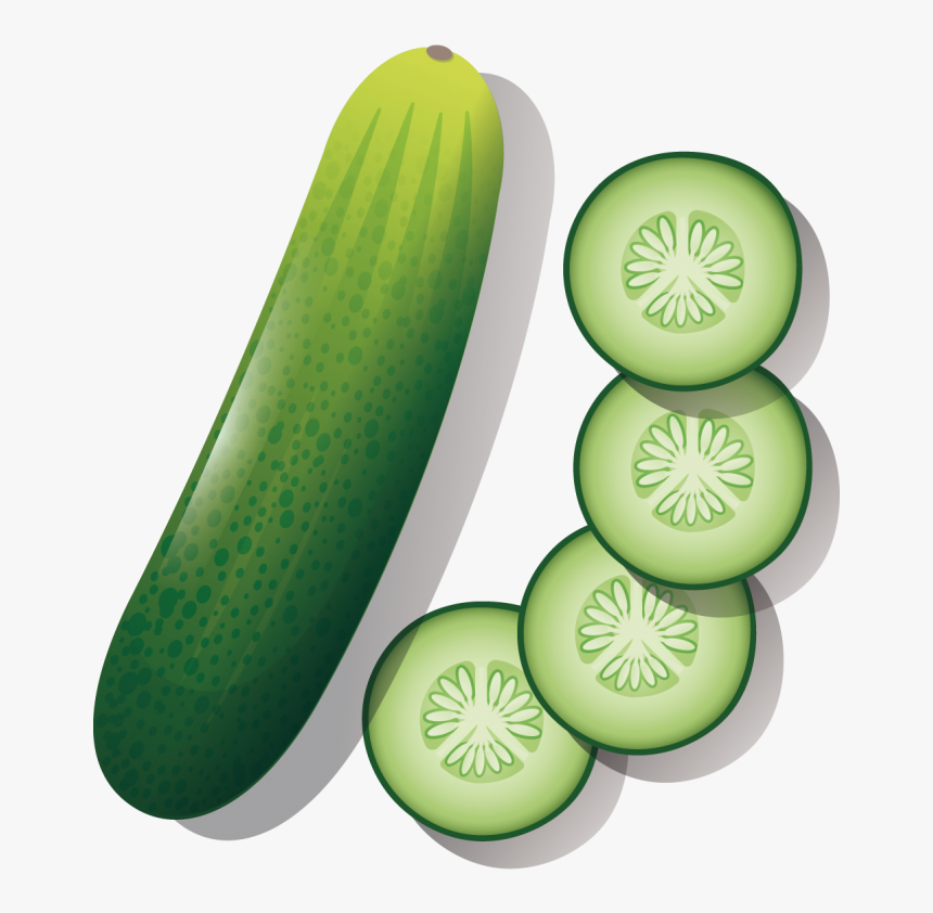 cucumber-cartoon-drawing-hd-png-download-kindpng