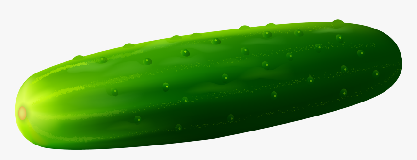 Cucumber Png Clipart - Cucamber, Transparent Png, Free Download