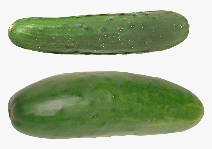 Cucumber Png - Cucumber, Transparent Png, Free Download