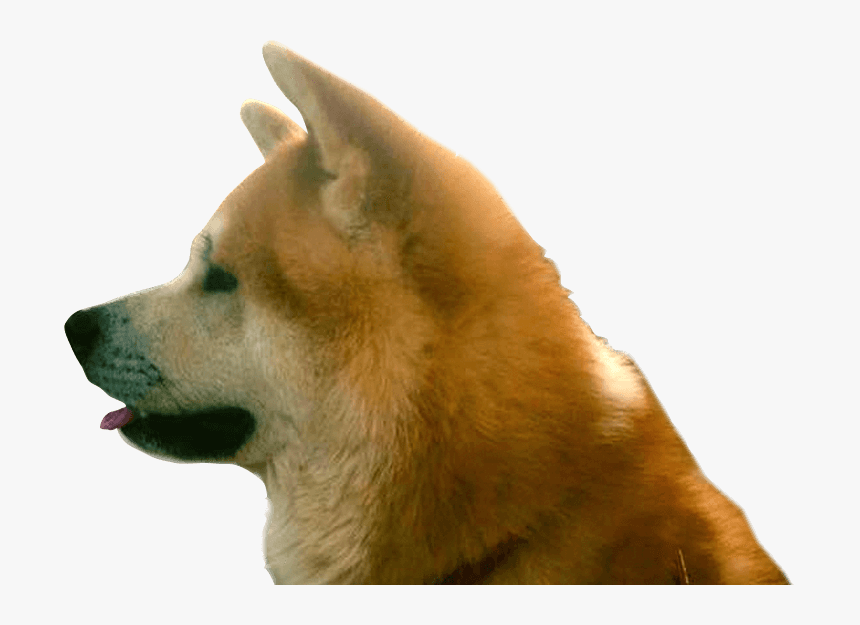 Dog Yawns, HD Png Download, Free Download