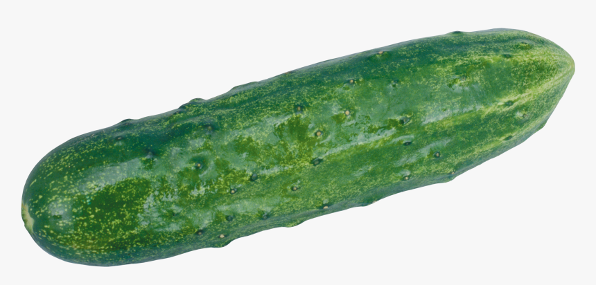 Cucumber Png Clipart - Cucumber Transparent, Png Download, Free Download