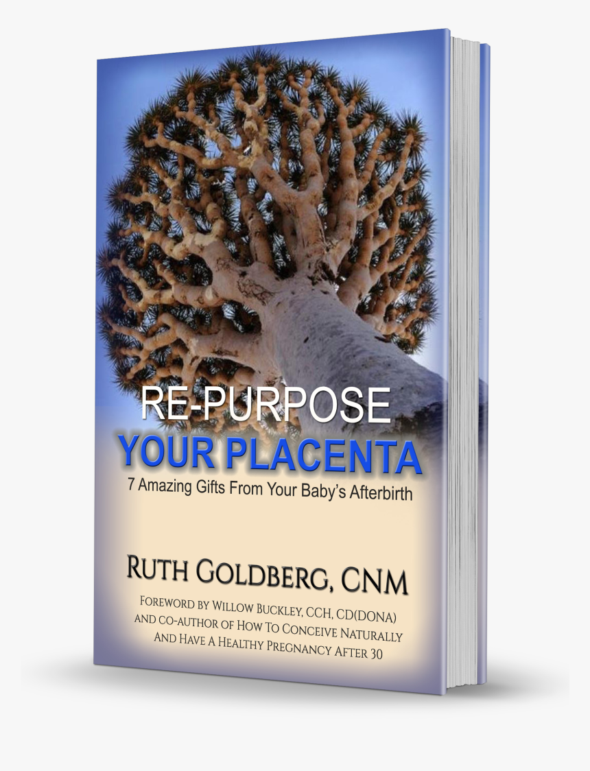 Re-purpose Your Placenta , Association Of Placenta - Dragon's Blood Tree, HD Png Download, Free Download